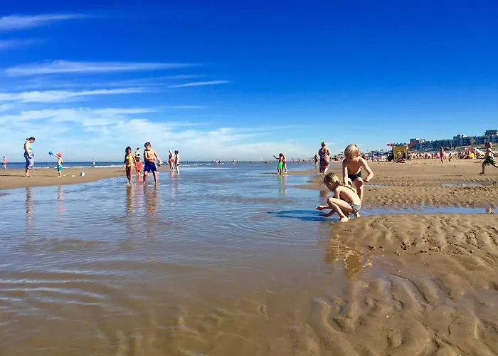 The New Fisherman's House